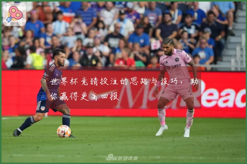 世界杯竞猜投注的思路与技巧,助你赢得更高回报