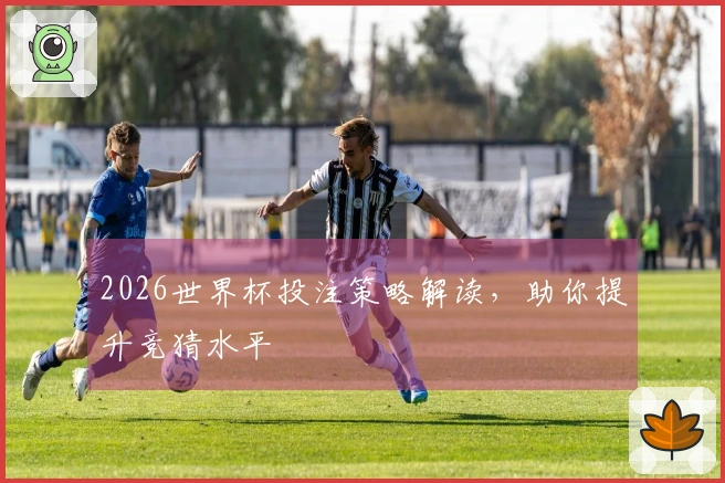 2026世界杯投注策略解读,助你提升竞猜水平