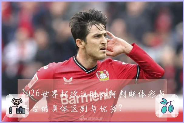 2026世界杯投注时如何判断体彩与平台的具体区别与优劣？
