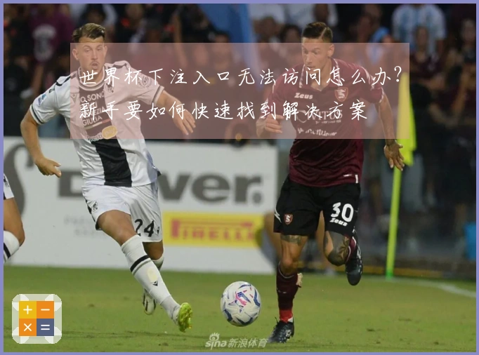 世界杯下注入口无法访问怎么办？新手要如何快速找到解决方案