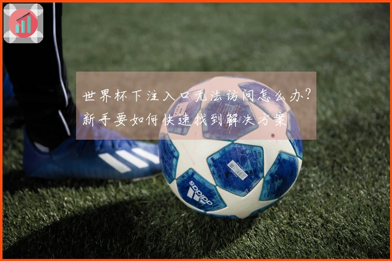 世界杯下注入口无法访问怎么办？新手要如何快速找到解决方案
